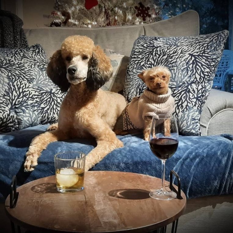 Cali (Bourbon) and Jax (Wine) Chavez